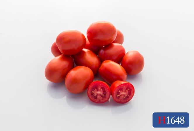 Kozula 224 Tomatoes Seeds - Etsy