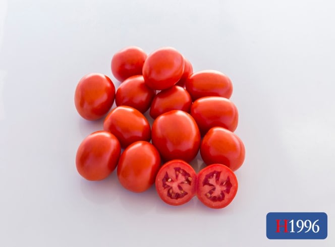 H1996 | HeinzSeed | United States | Products - Heinz®