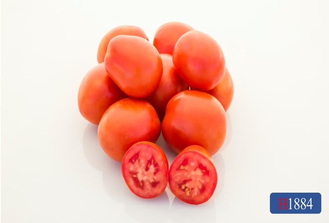 tomato prairieroadorganicseed.Tomato-