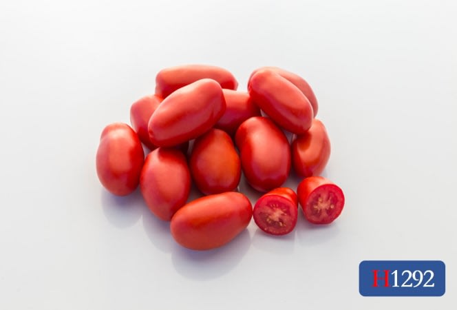 tomato2枚セット 91cjNRH2PrL._UF350,350_QL80_.jpg