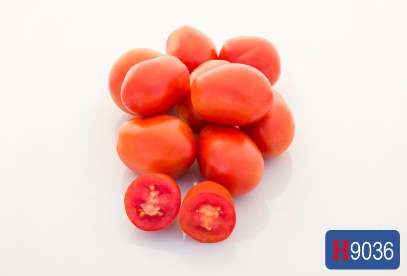 Tomato H9036 | HeinzSeed | United States | Products - Heinz®