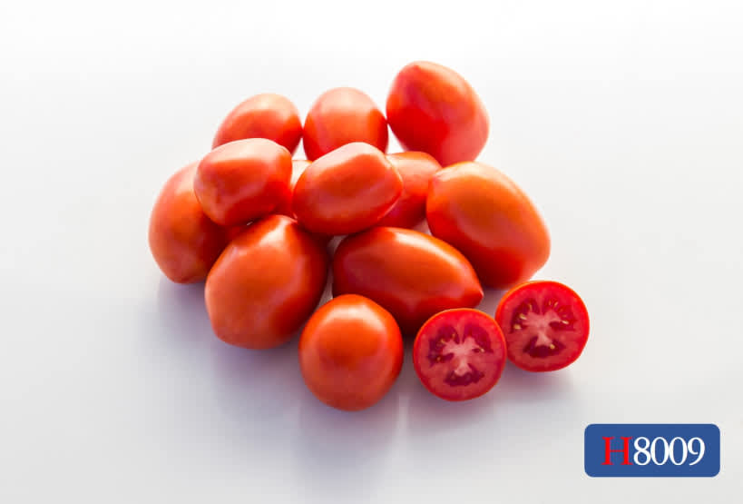 H8009 | HeinzSeed | Products - Heinz®
