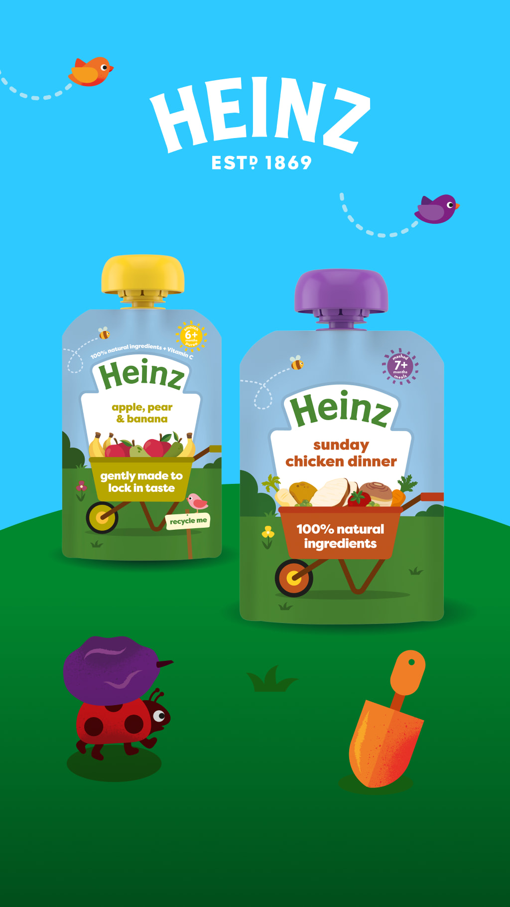 Heinz Tesco Baby Fruit Pouches Heinz Baby Food Outlet