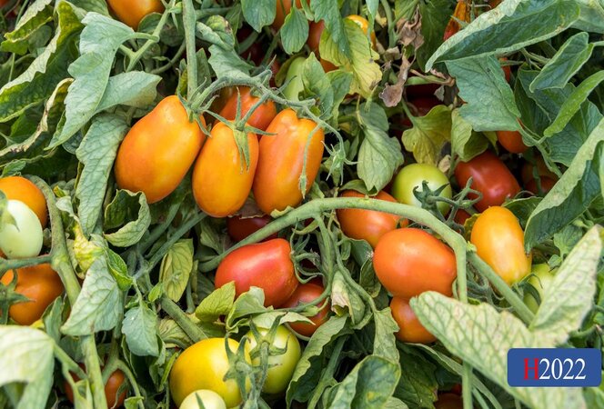 H2022 | HeinzSeed | United States | Products - Heinz®