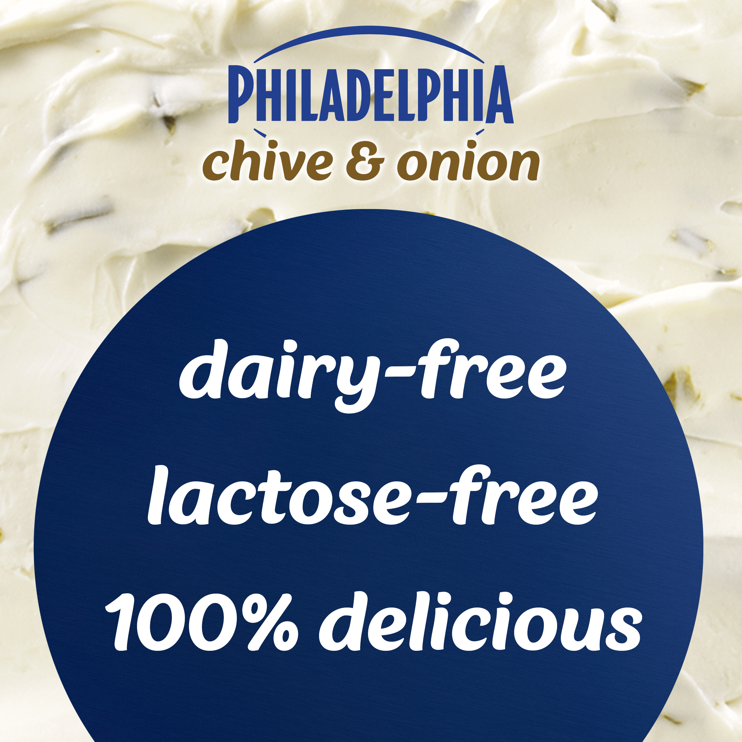 Non-Dairy Plant-Based Chive & Onion 