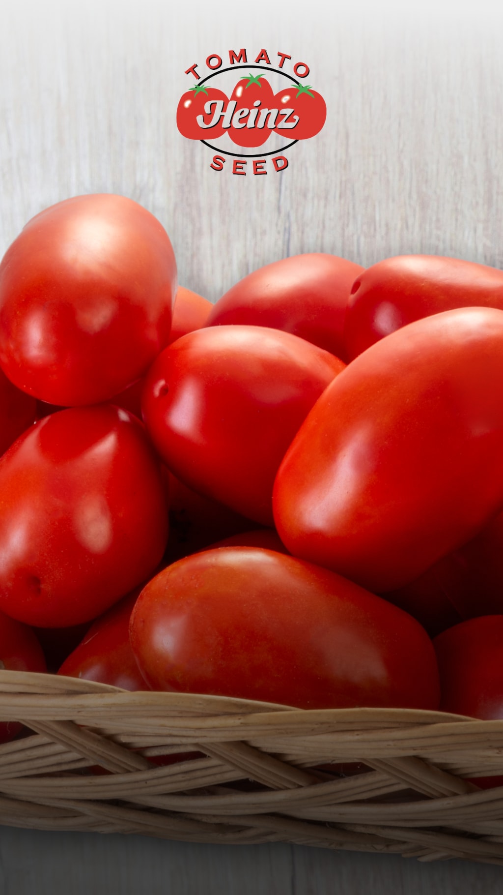 HeinzSeed | Processing Tomato Seeds – Kraft Heinz | United States