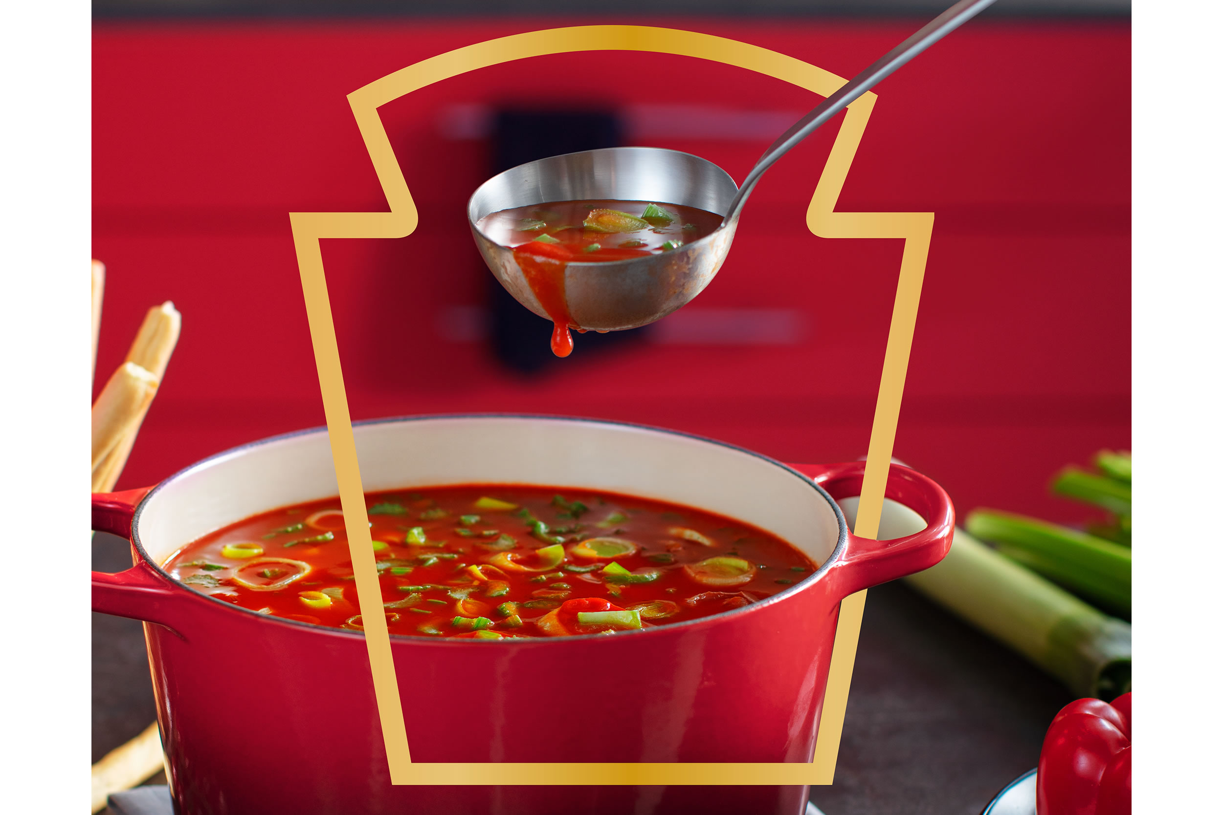 Soupe aux tomates et légumes