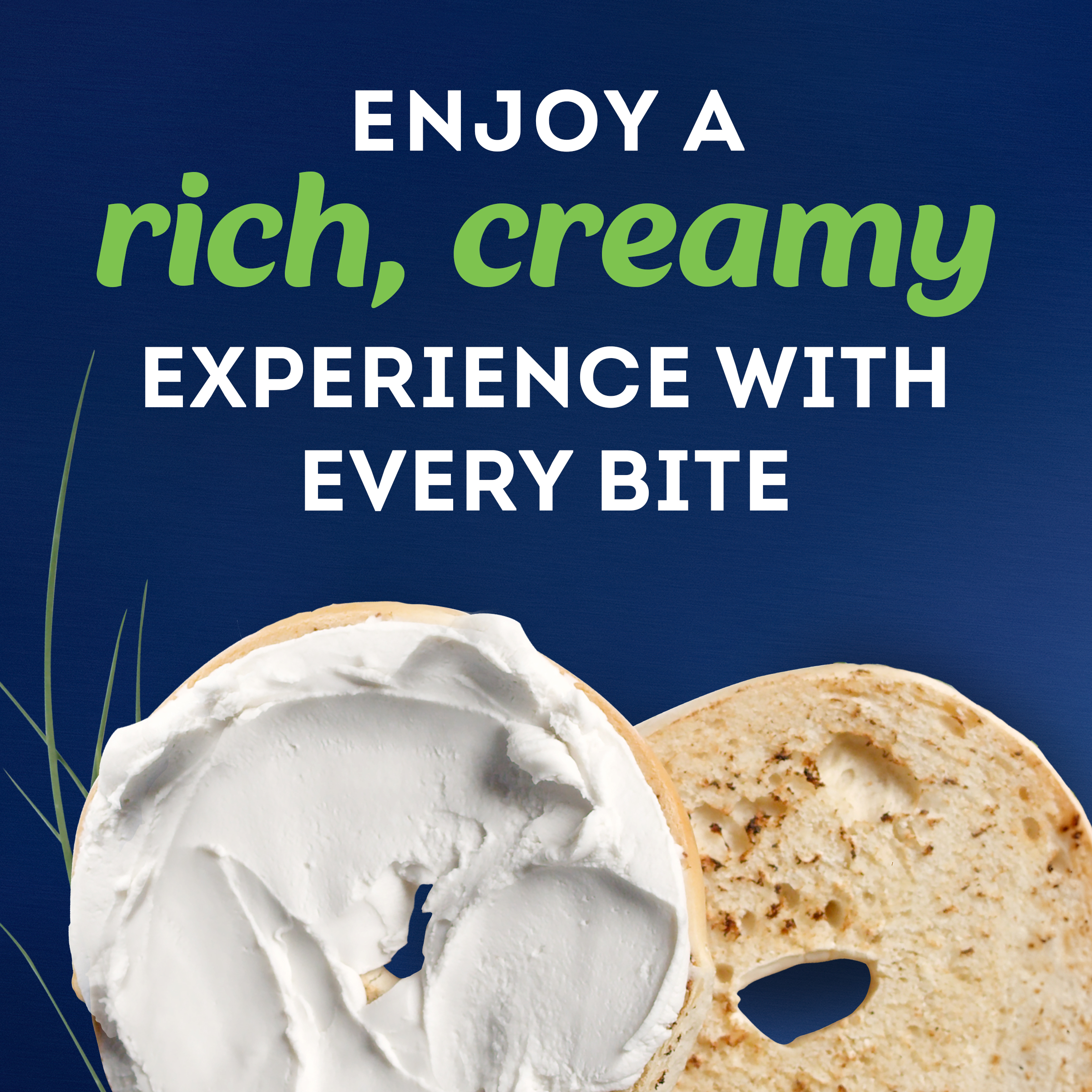 Non-Dairy Plant-Based Original 