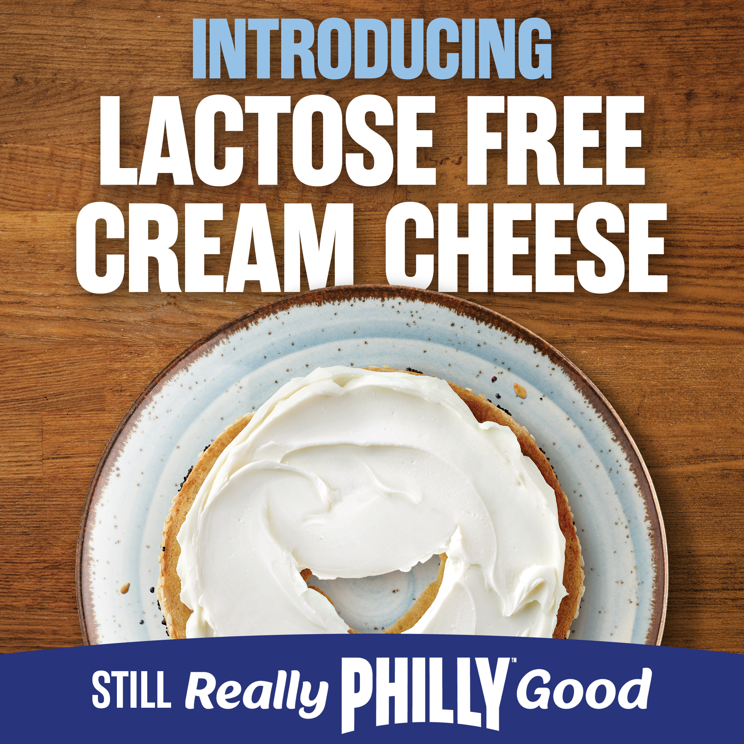 Lactose Free Original Cream Cheese | Philadelphia | United States